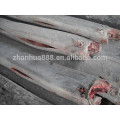 sea frozen sailfish China supplier hot sale seafood